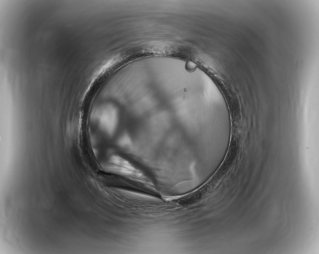 X0000087010679200704301418