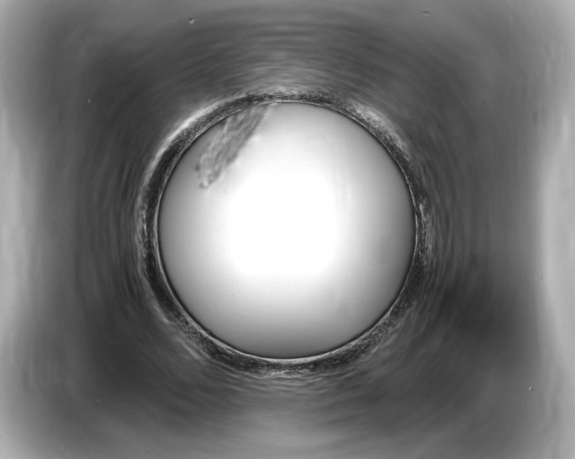 X0000087010680200704301418