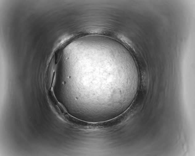 X0000087010682200704301418