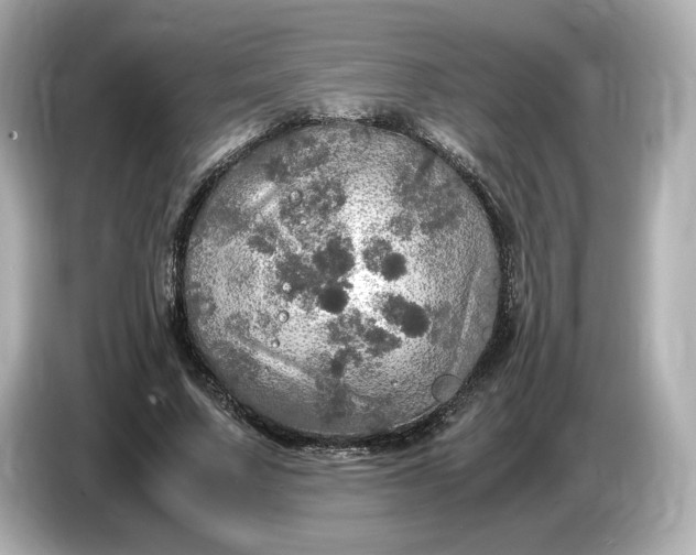 X0000087010683200704301418