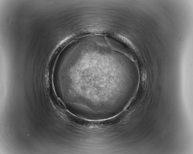 X0000087010684200704301418