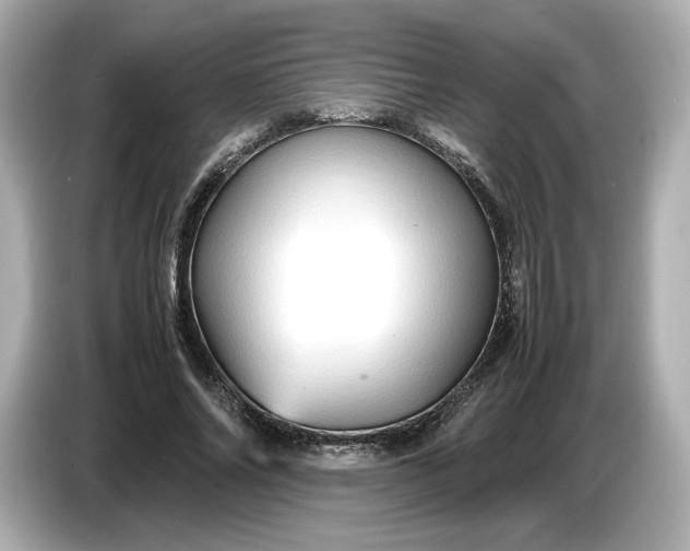 X0000087010686200704301418