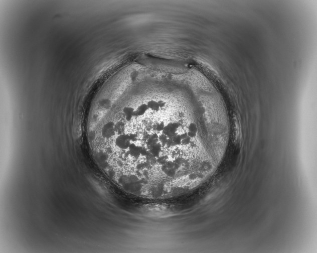 X0000087010687200704301418