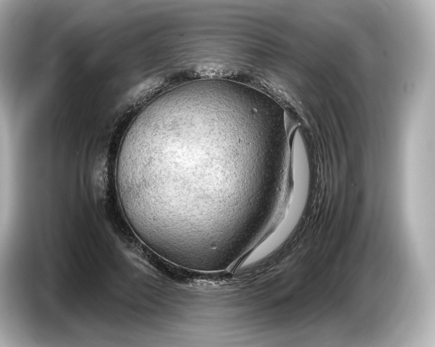 X0000087010690200704301418