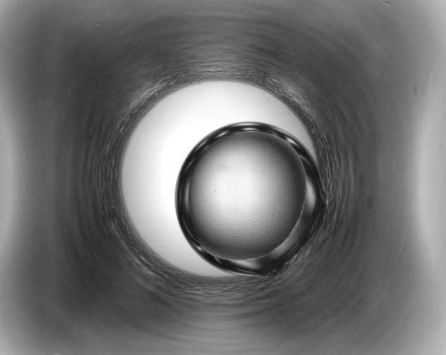 X0000087010692200704301418