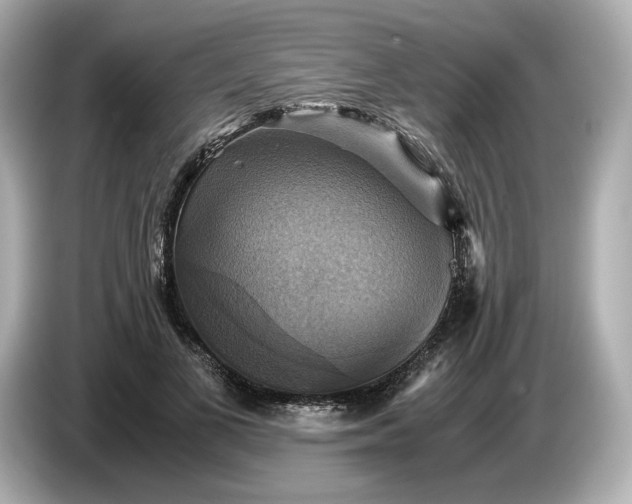 X0000087010693200704301418