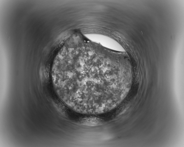 X0000087010695200704301418