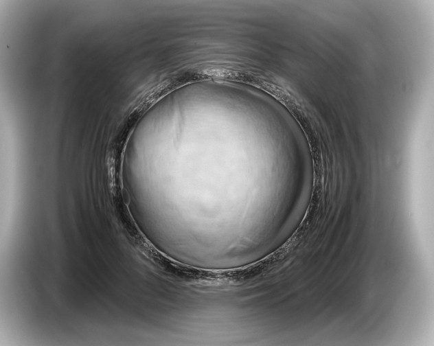 X0000087010696200704301418