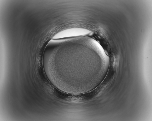 X0000087010697200704301418