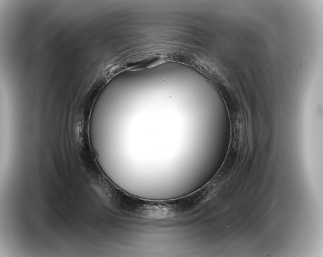 X0000087010698200704301418