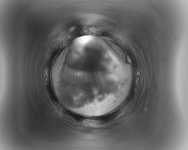 X0000087010699200704301418