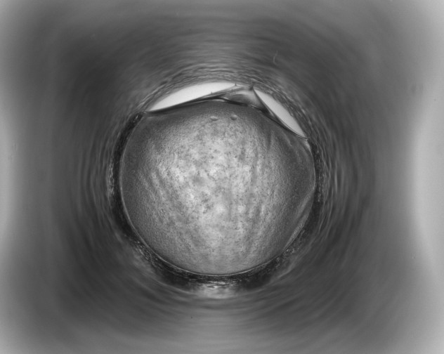 X0000087010700200704301418