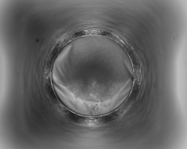 X0000087010701200704301418