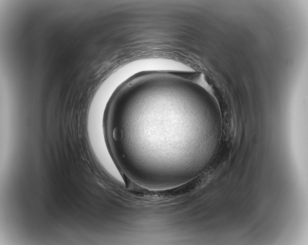 X0000087010704200704301418