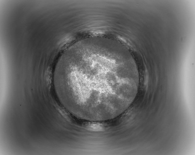 X0000087010710200704301418