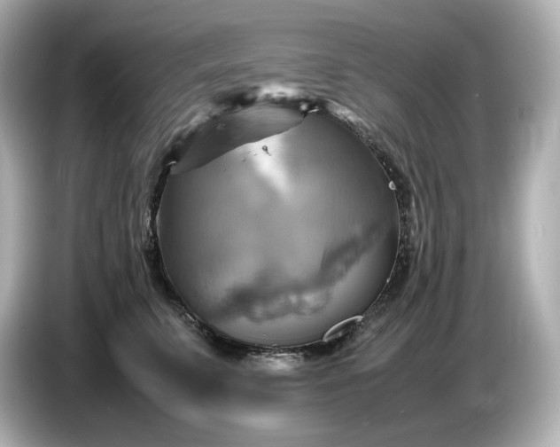 X0000087010711200704301418