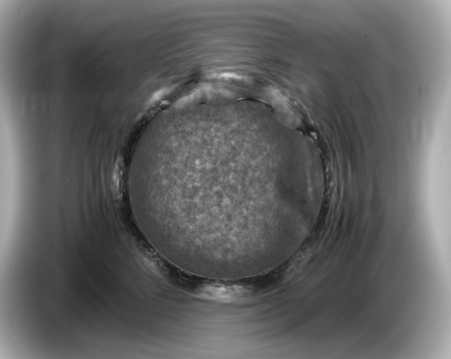 X0000087010712200704301418