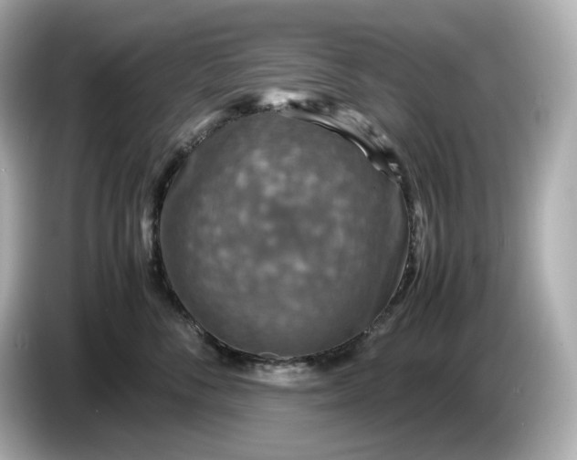 X0000087010716200704301418