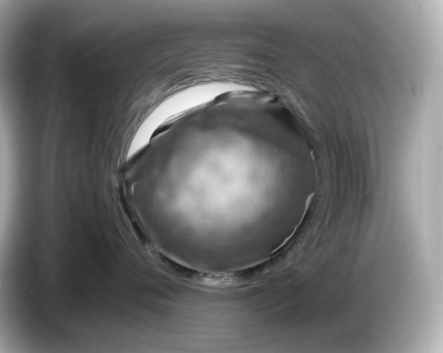 X0000087010720200704301418