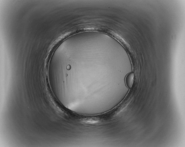 X0000087010721200704301417