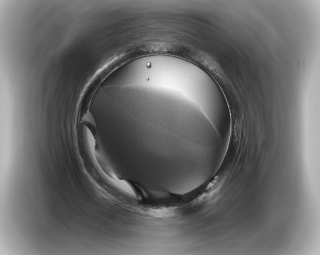 X0000087010722200704301417