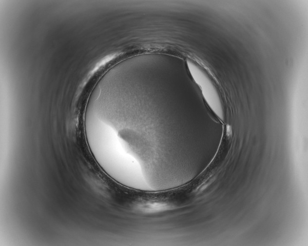 X0000087010723200704301417