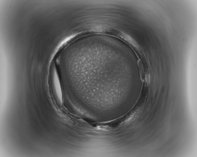 X0000087010724200704301417