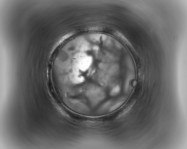 X0000087010725200704301417