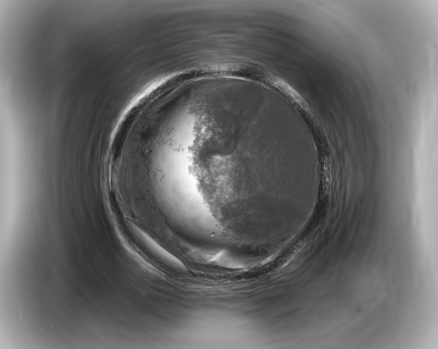 X0000087010726200704301417