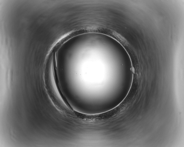 X0000087010728200704301417