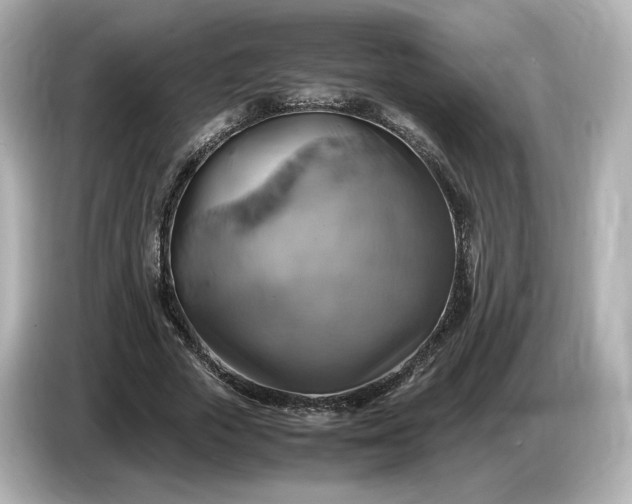 X0000087010729200704301417