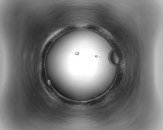 X0000087010732200704301417