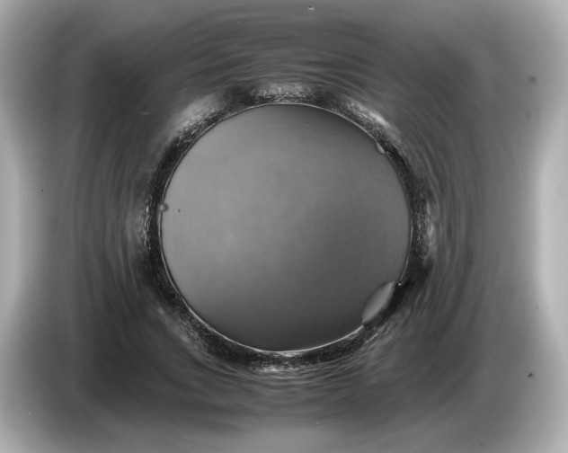 X0000087010735200704301417