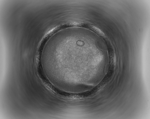 X0000087010736200704301417