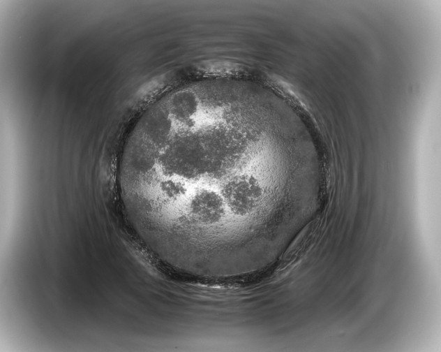 X0000087010737200704301417