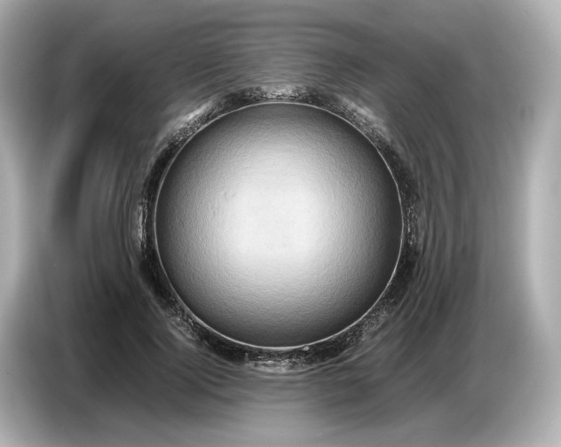 X0000087010740200704301417