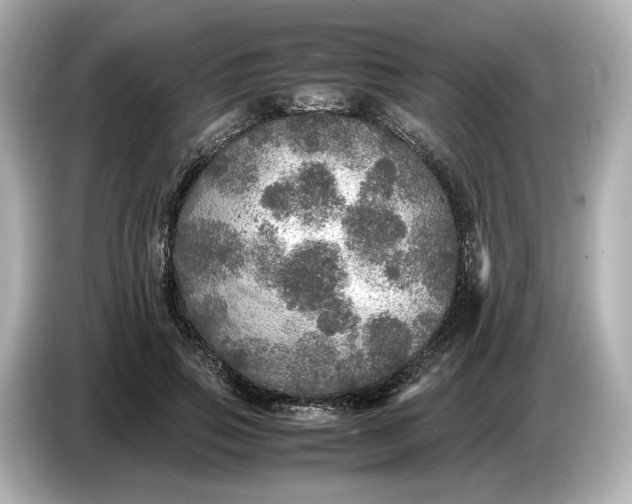 X0000087010741200704301417