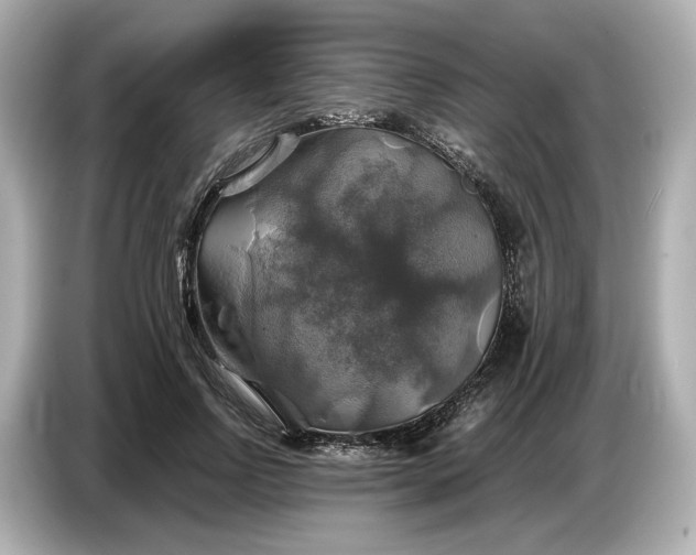 X0000087010742200704301417