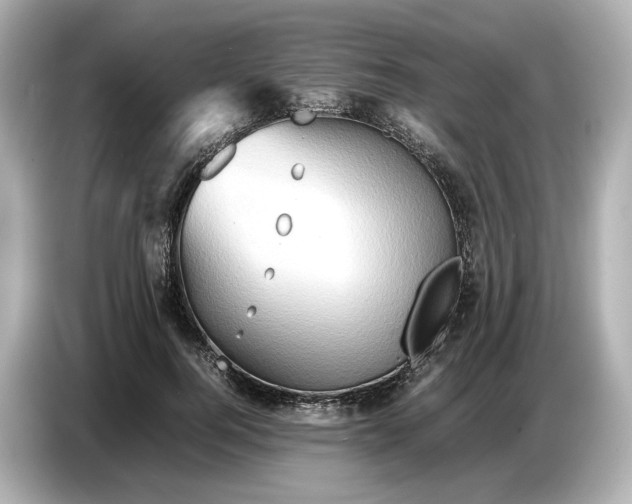 X0000087010744200704301417