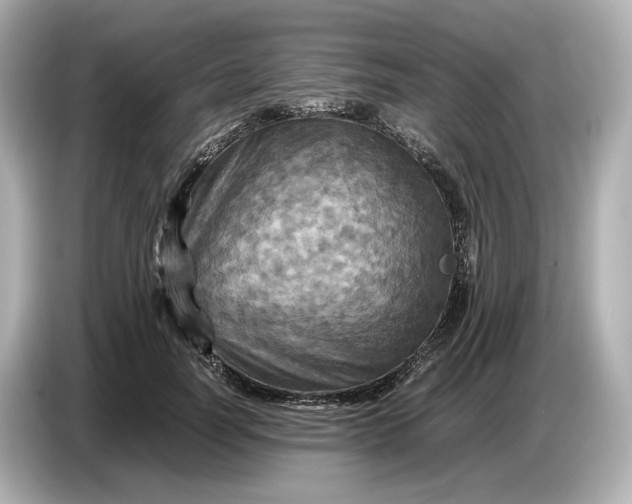 X0000087010746200704301417