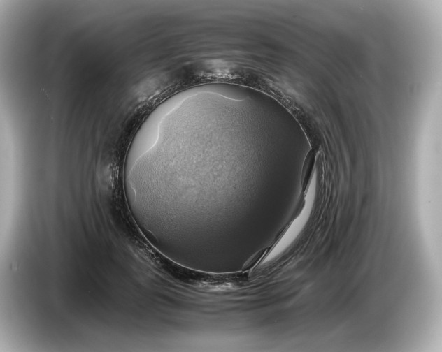 X0000087010747200704301417