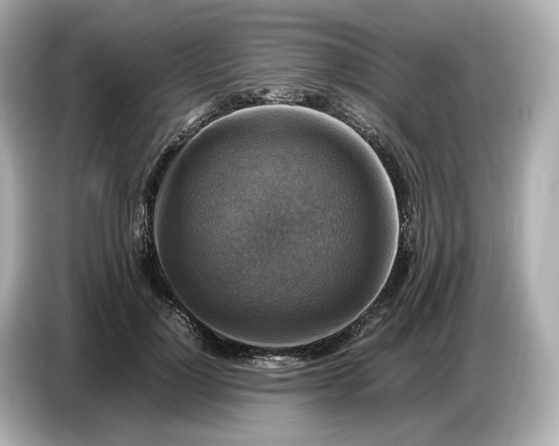 X0000087010748200704301417