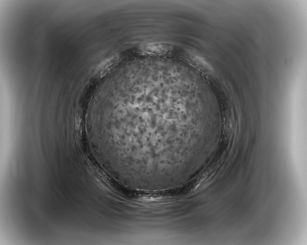 X0000087010749200704301417