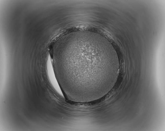 X0000087010750200704301417