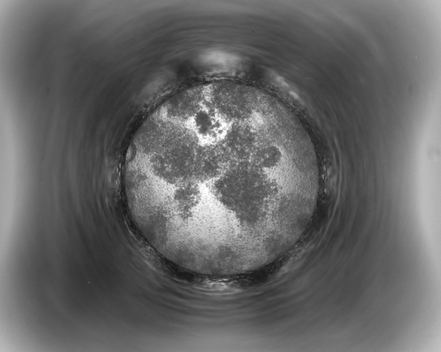 X0000087010753200704301417