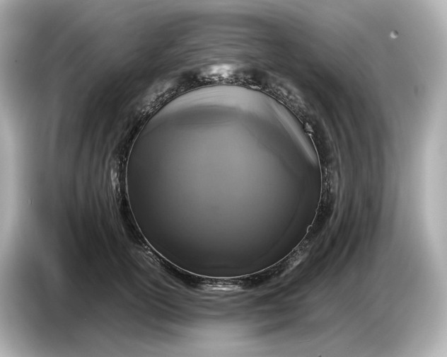 X0000087010754200704301417