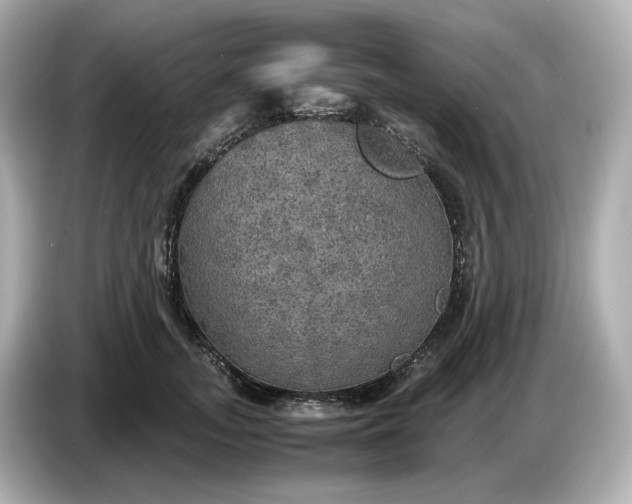 X0000087010755200704301417