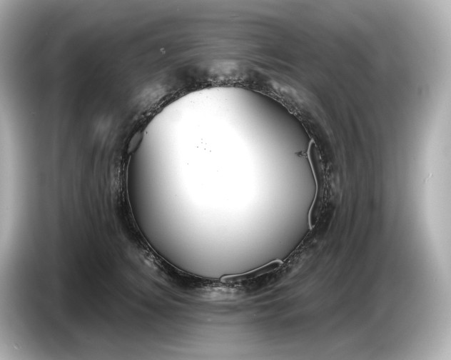 X0000087010756200704301417