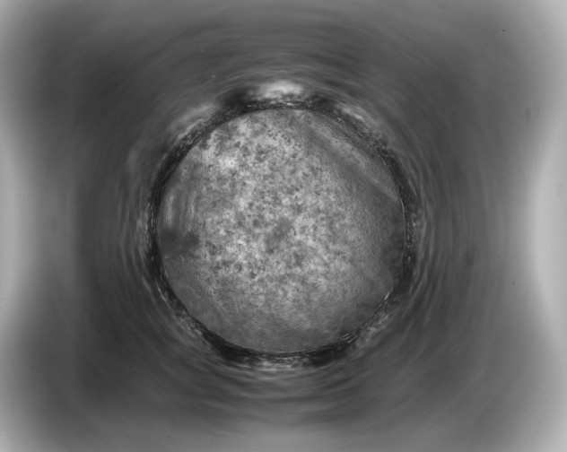 X0000087010757200704301417