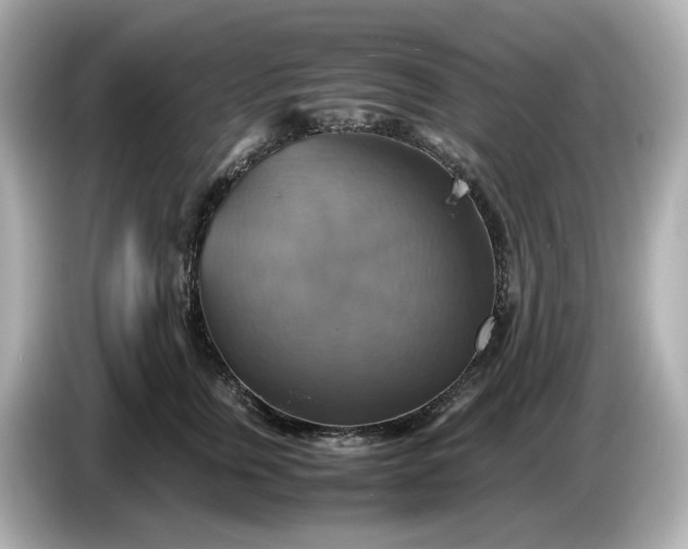 X0000087010759200704301417